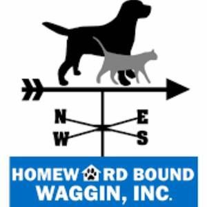 Meet your Posher, Andi